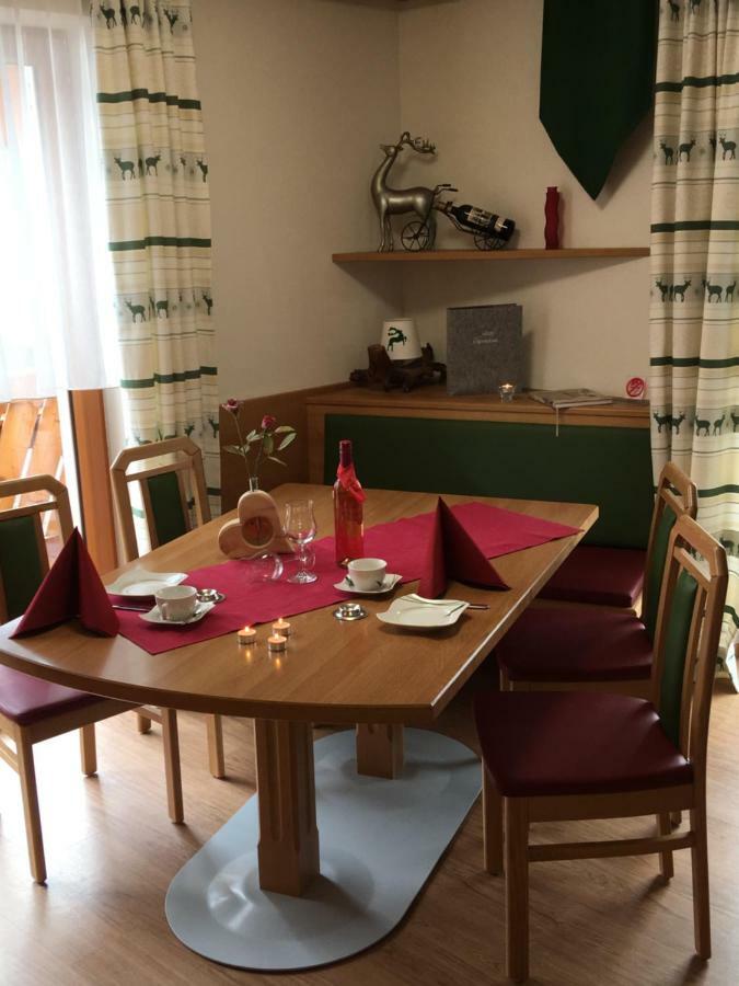 Апартаменты Haus Schnepfleitner Дорфгаштайн Экстерьер фото
